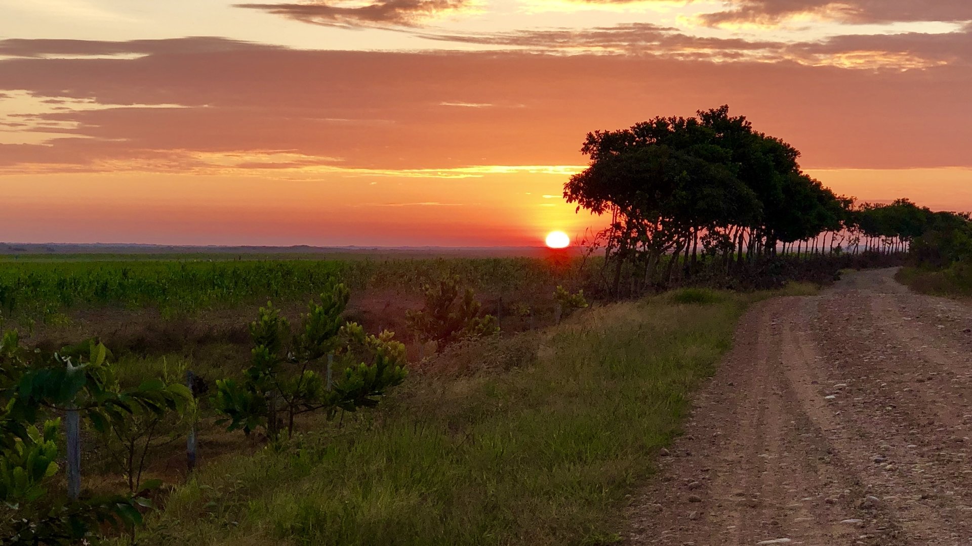 ATARDECER