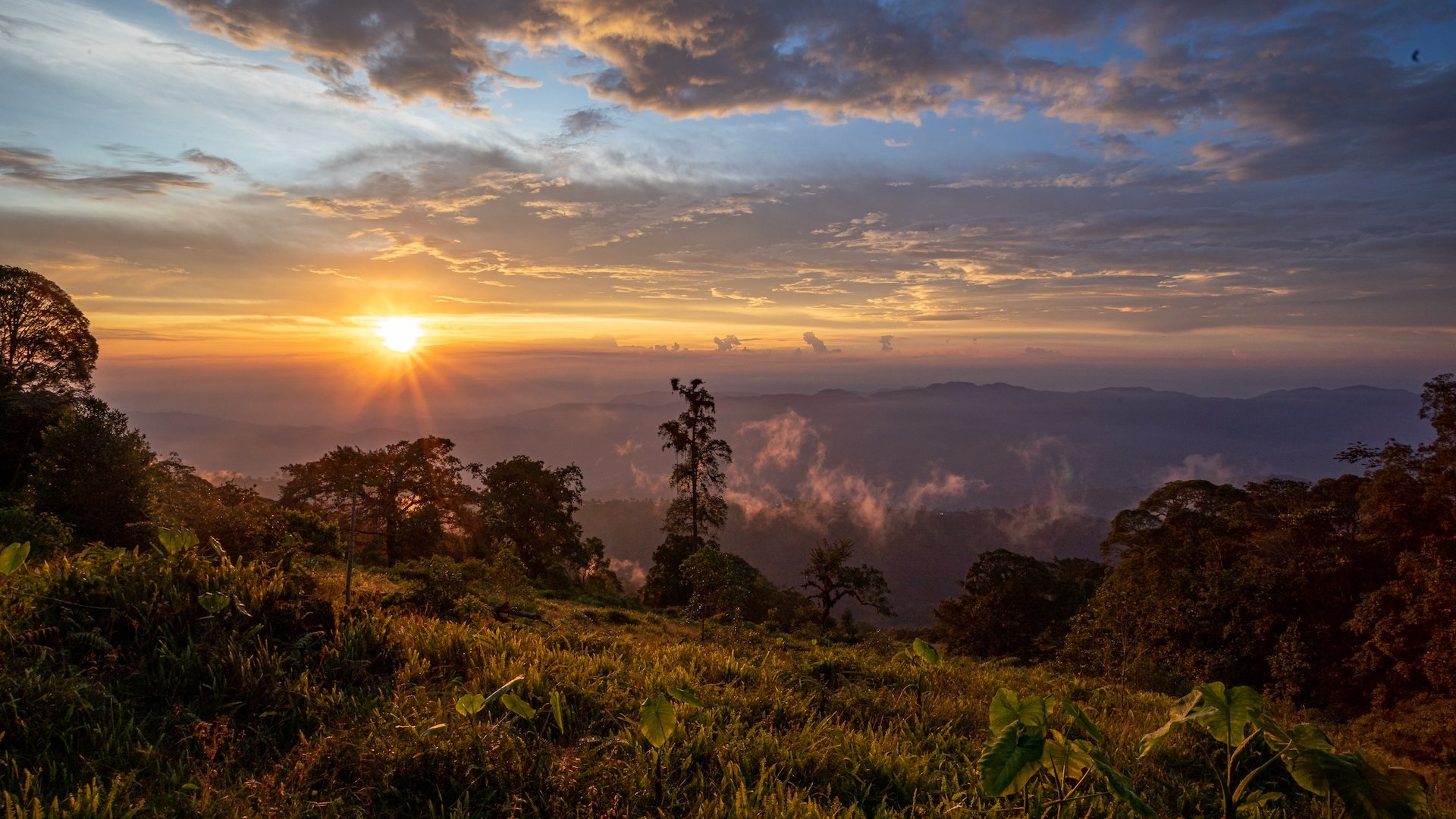 Casanare_vista_al_Valle_del_Magdalena